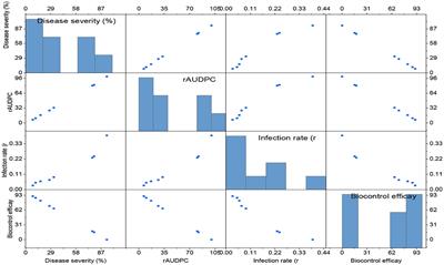 Evaluating the efficacy of microbial antagonists in inducing resistance, promoting growth, and providing biological control against powdery mildew in wheat
